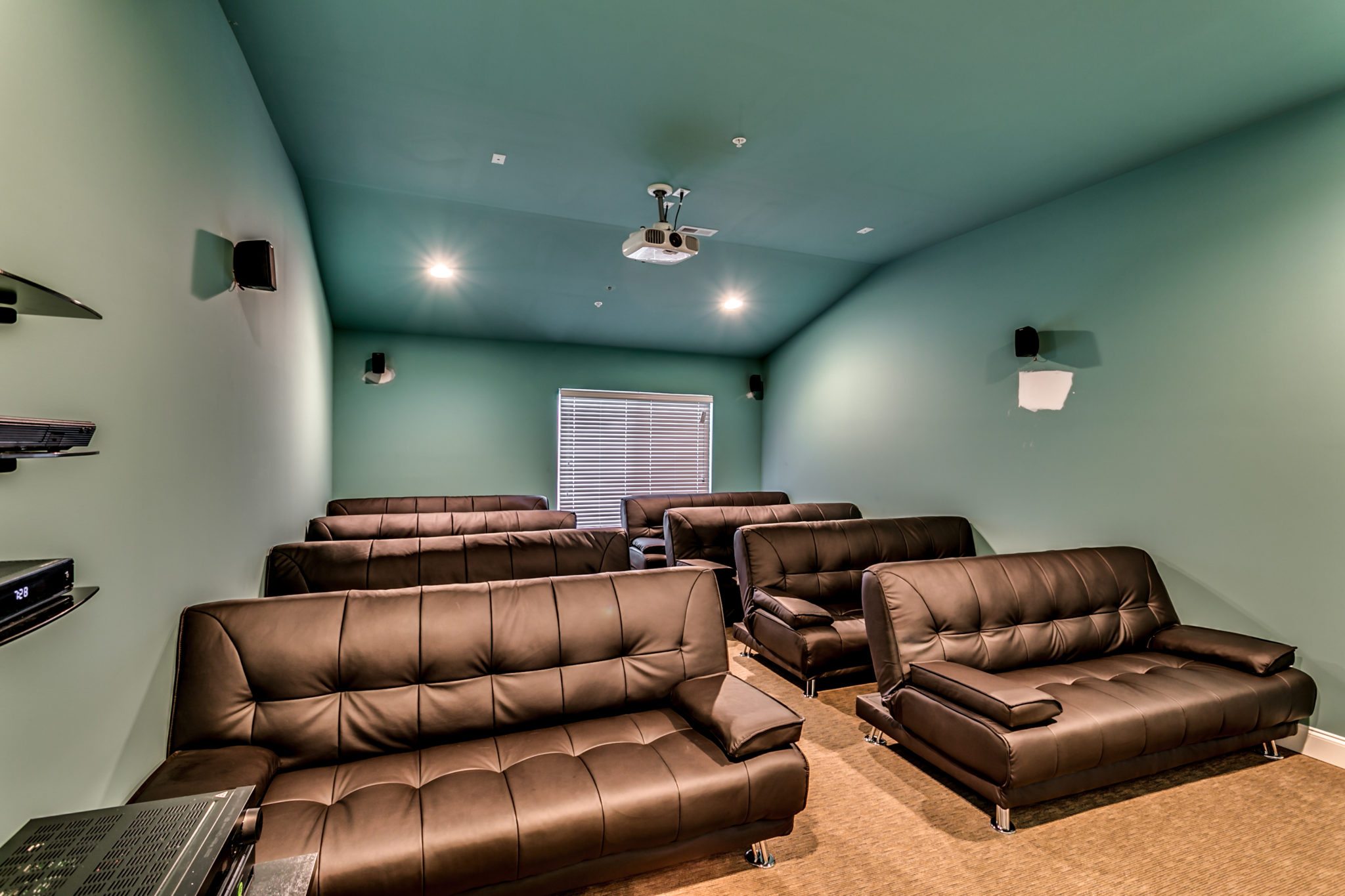 225 20th Ave home theater.