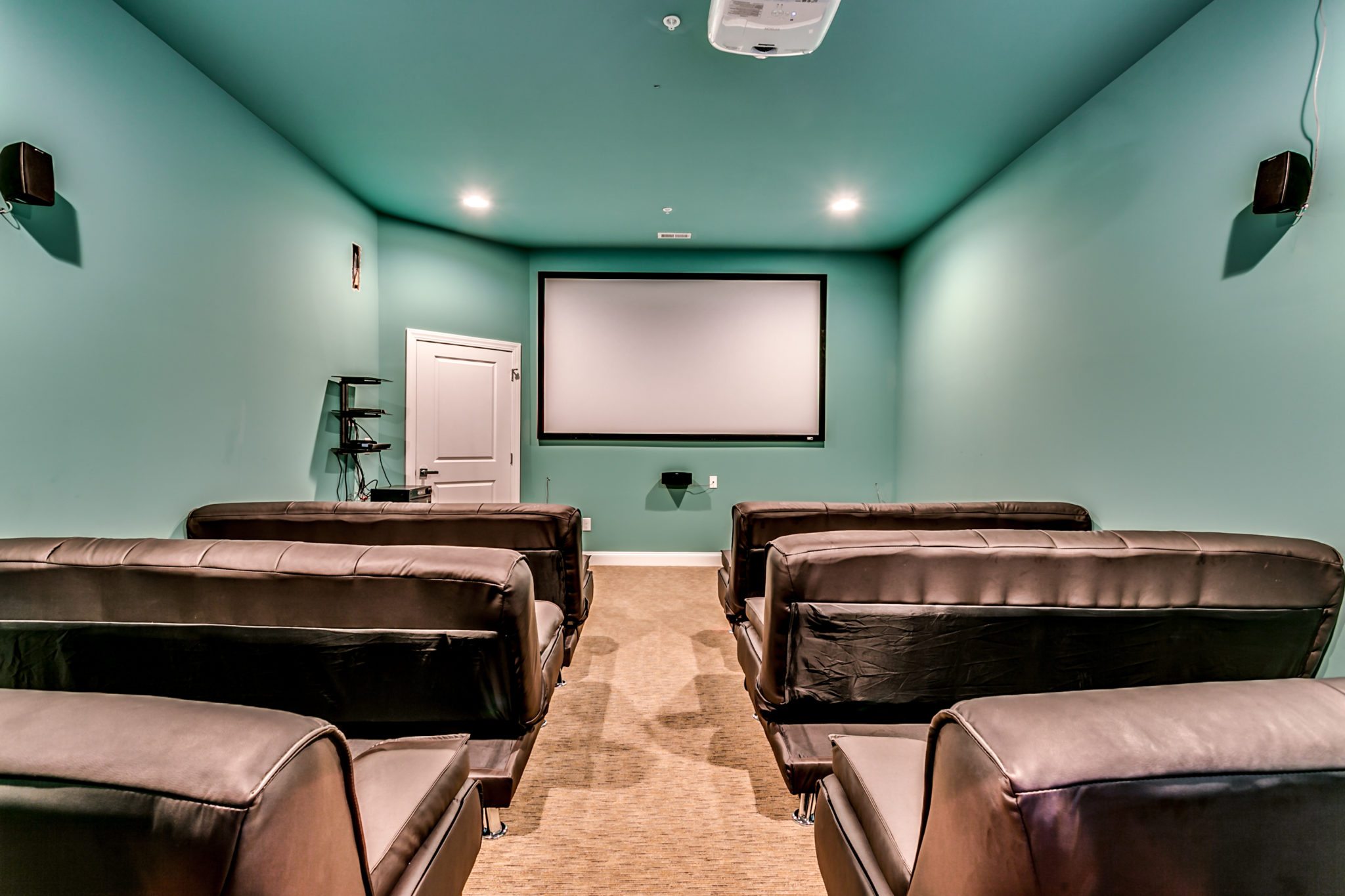 225 20th Ave home theater.