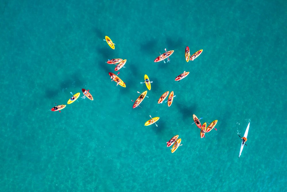 Overhead view of kayakers.