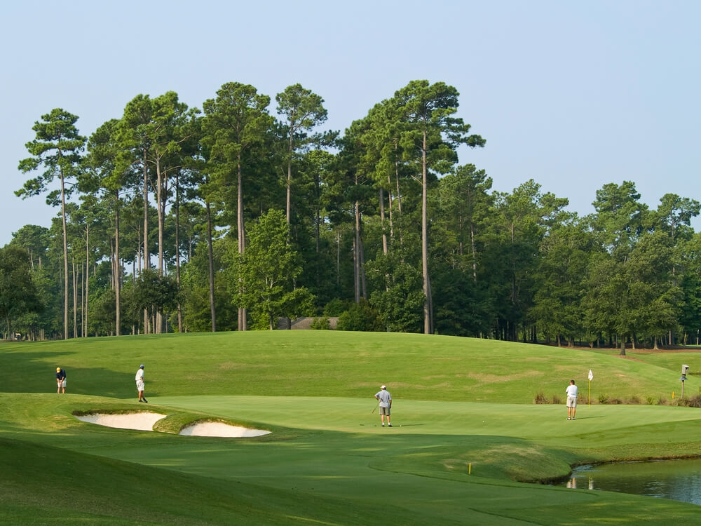 Photo of a Group of a Golfers at a Myrtle Beach Golf Course.