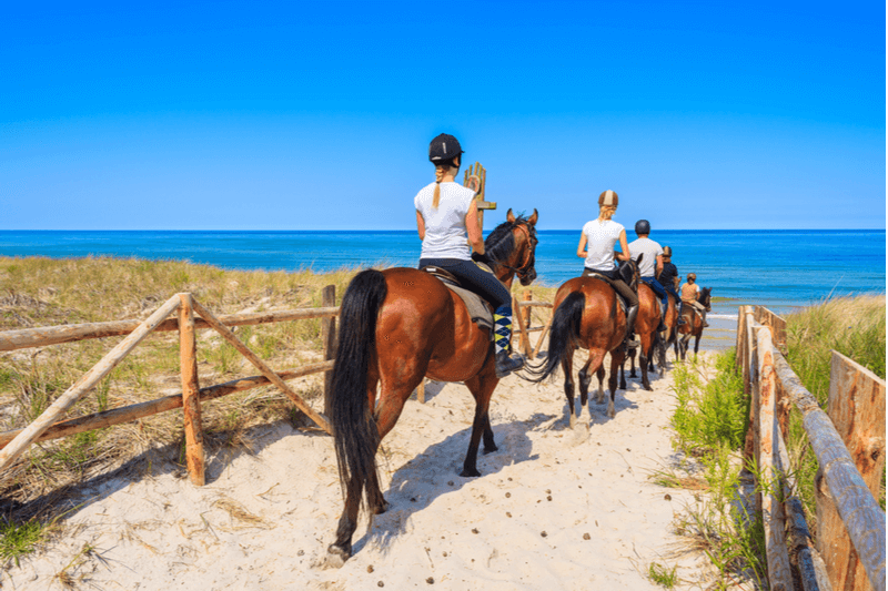 Group on horseback on a beach trail.