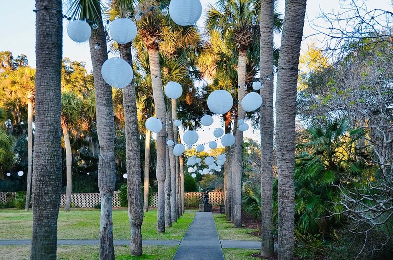 A beautiful walkway lined with palm trees and hanging white globe lights, a romantic setting for wedding guests.